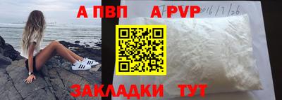 стаф Можга