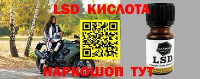 стаф Можга