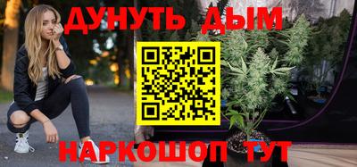 стаф Можга