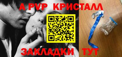 стаф Можга