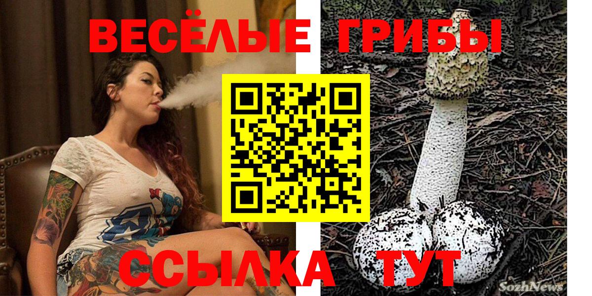 Галлюциногенные грибы Cubensis  Вход с VPN  Галлюциногенные грибы ЛСД  Волжск 